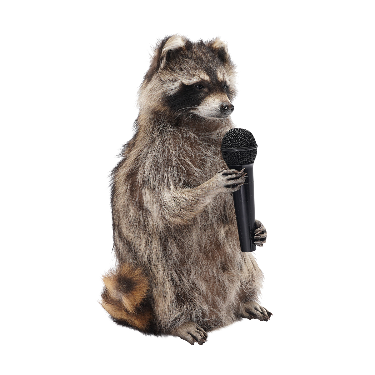 Karaoke