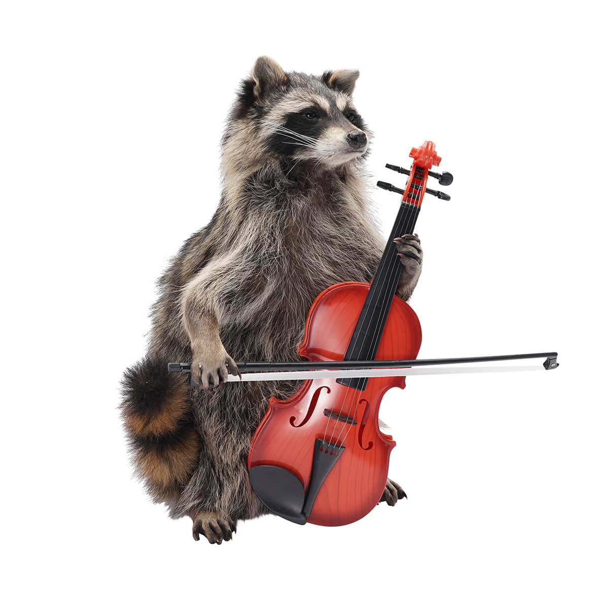 Cello