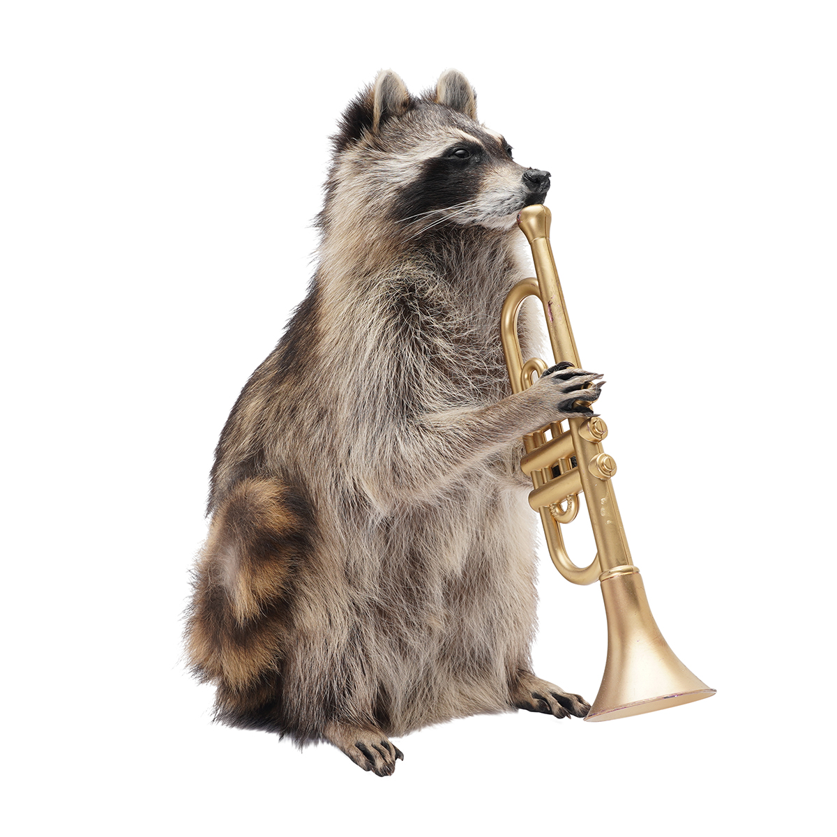 Trumpet