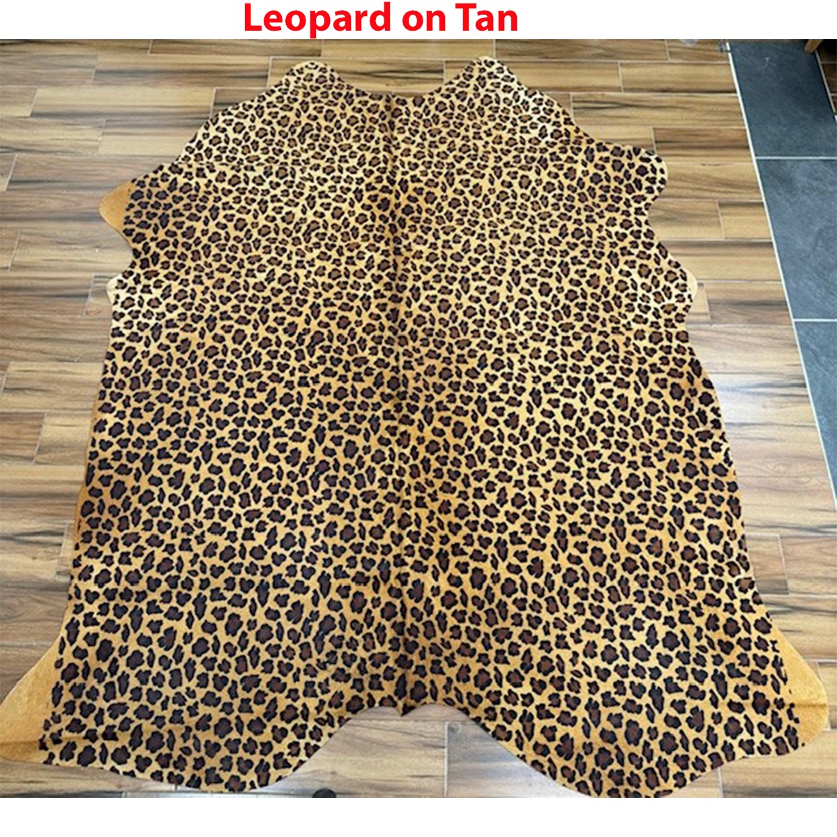 Leopard on Tan