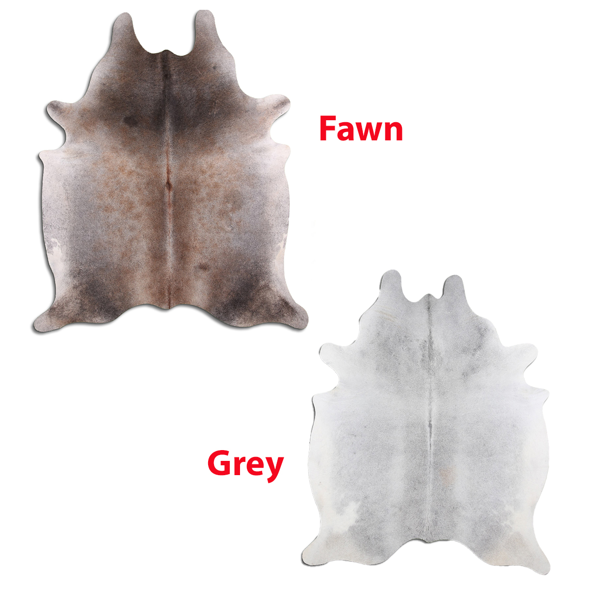 Grey / Fawn (overstock)