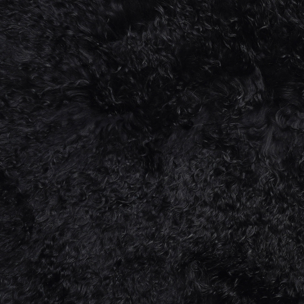 08 Black