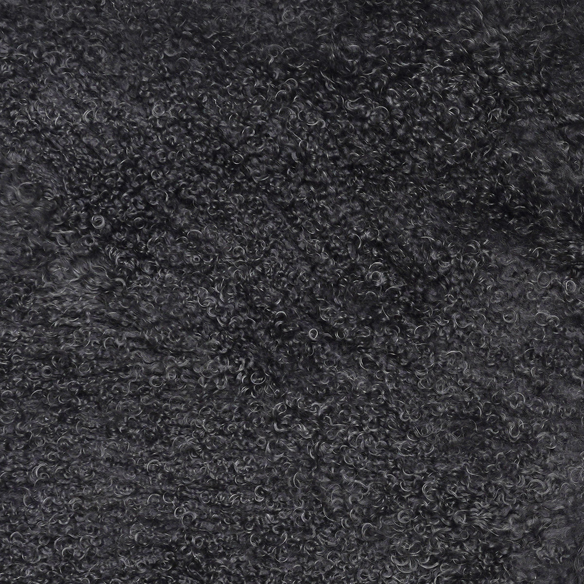 12 Charcoal