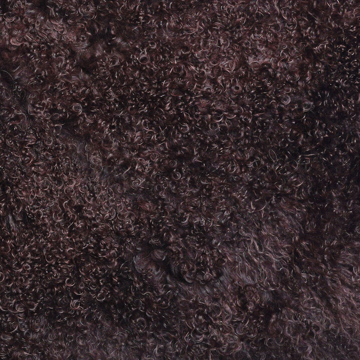 17 Chocolate