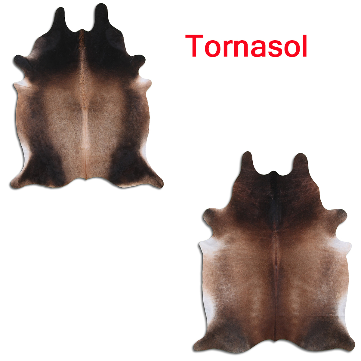 Tornasol