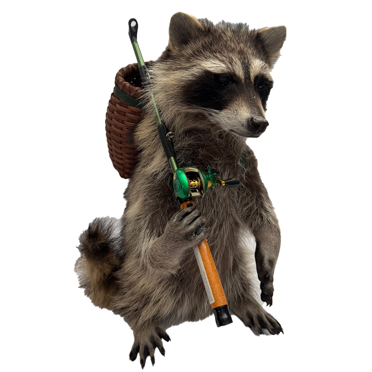 Fishing Raccoon with Backpack