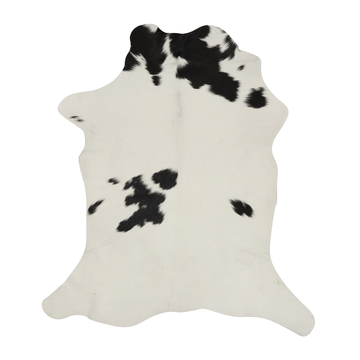 Black & White Cloudy Calf