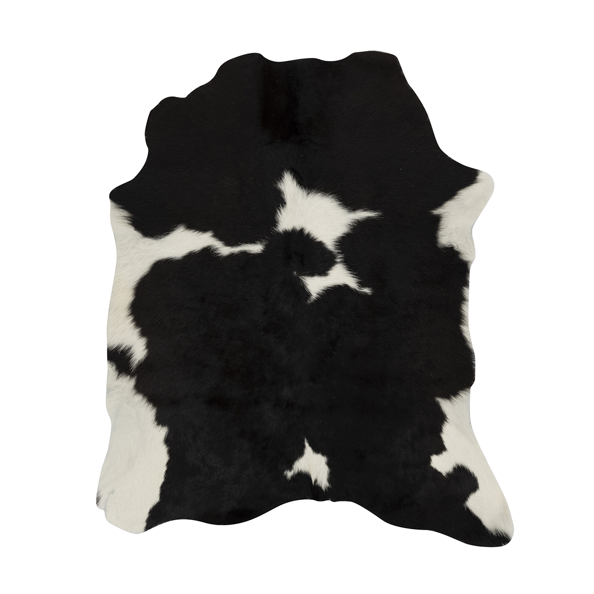 Black & White Cloudy Calf