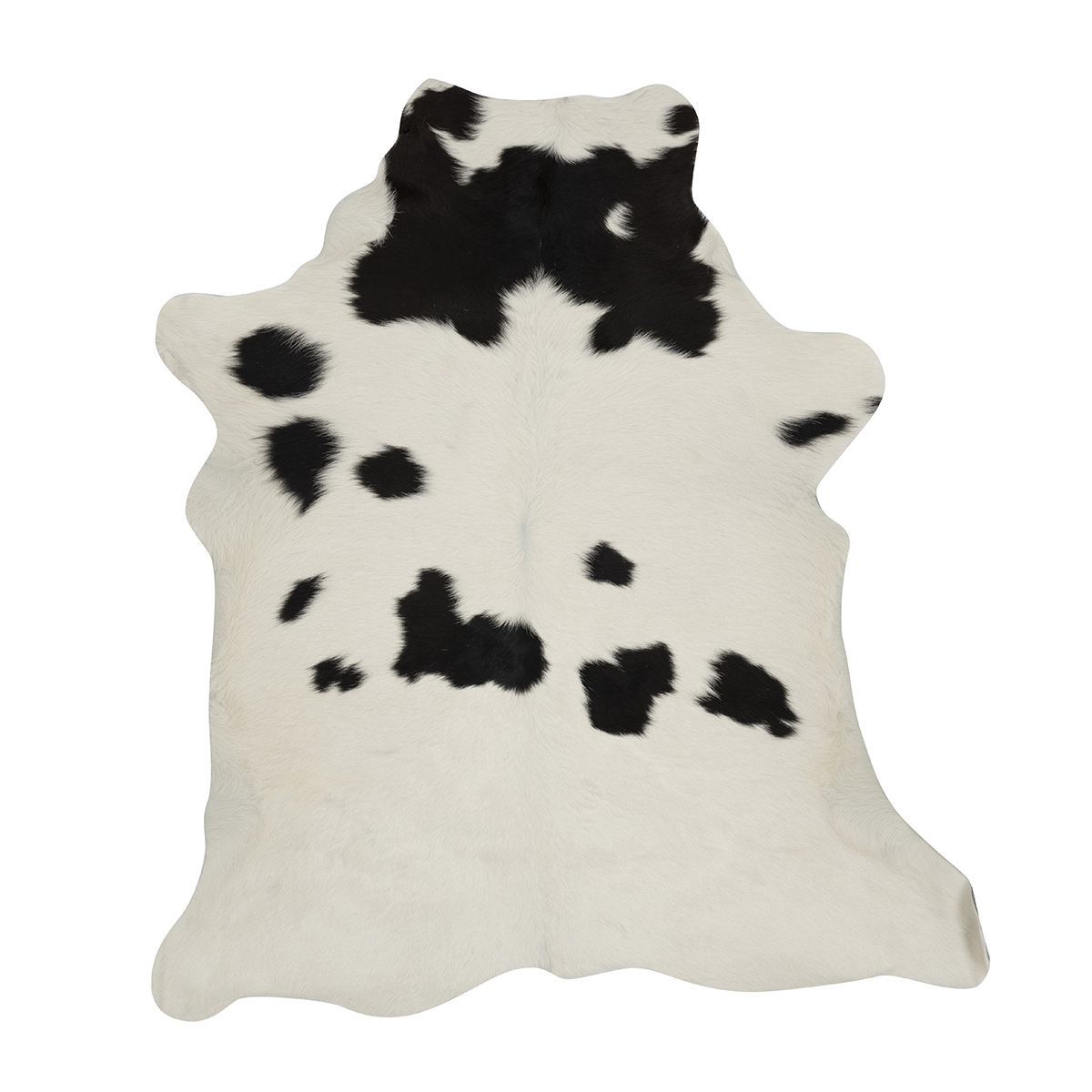 Black & White Cloudy Calf