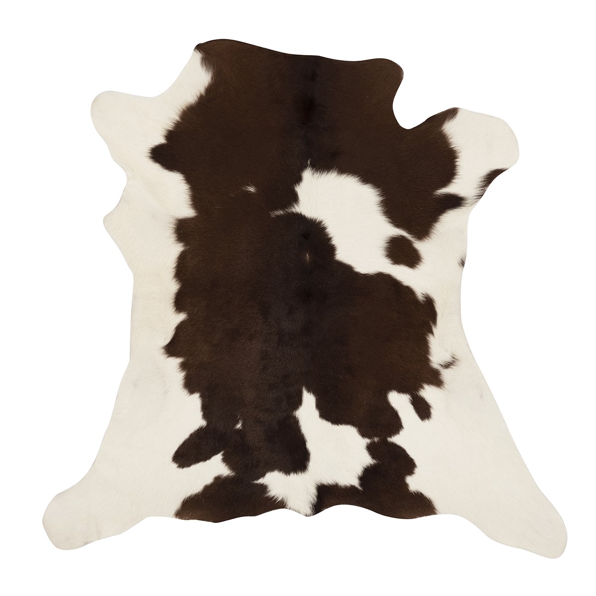 Chocolate & White Cloudy Calf