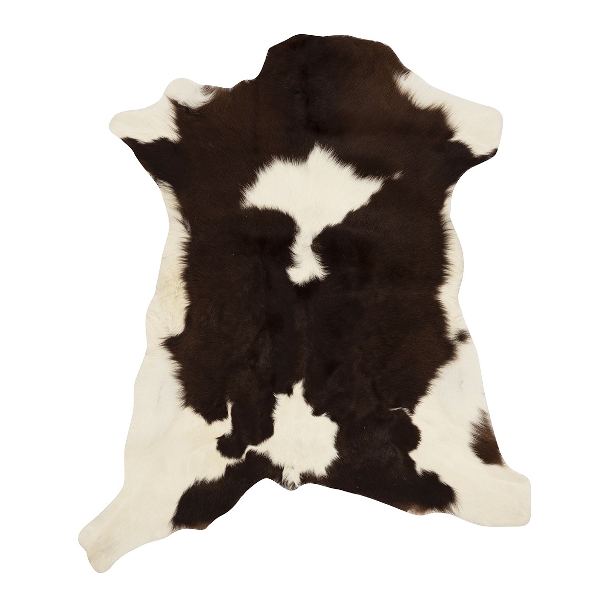 Chocolate & White Cloudy Calf