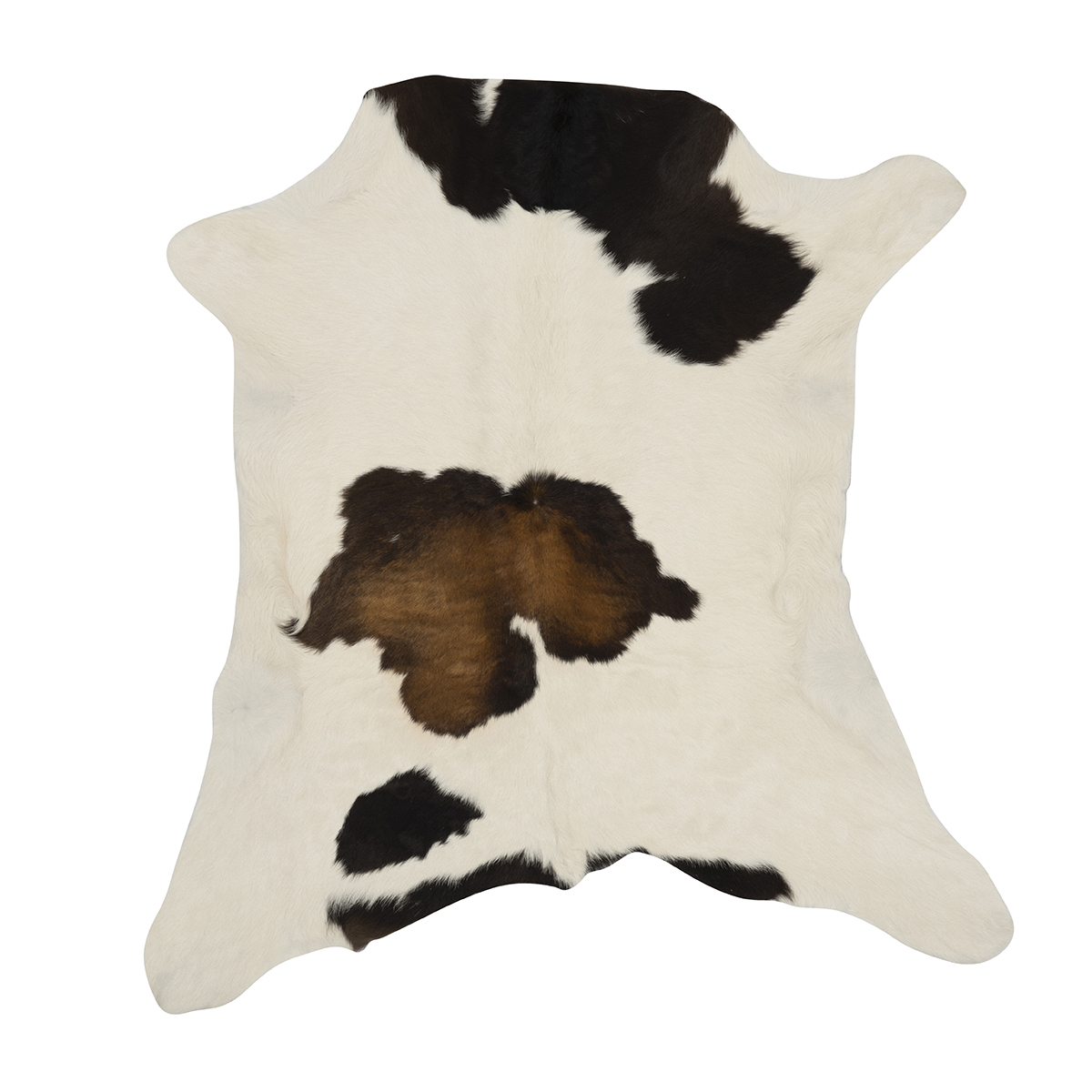 Tricolor Cloudy Calf