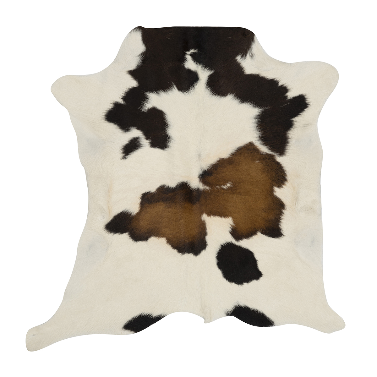 Tricolor Cloudy Calf