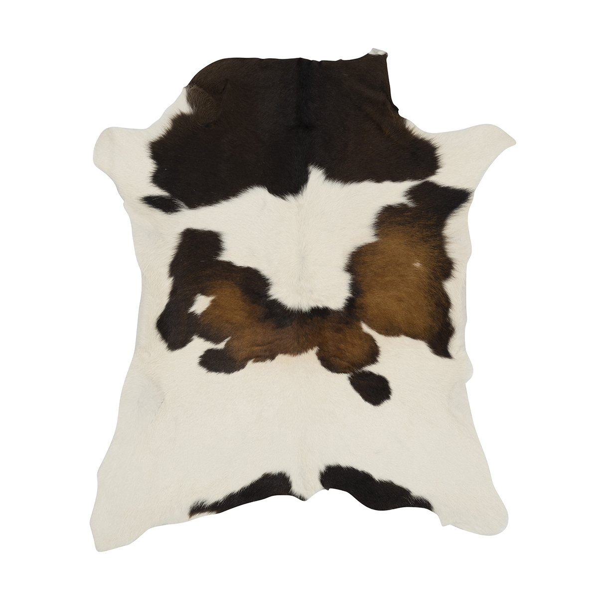 Tricolor Cloudy Calf