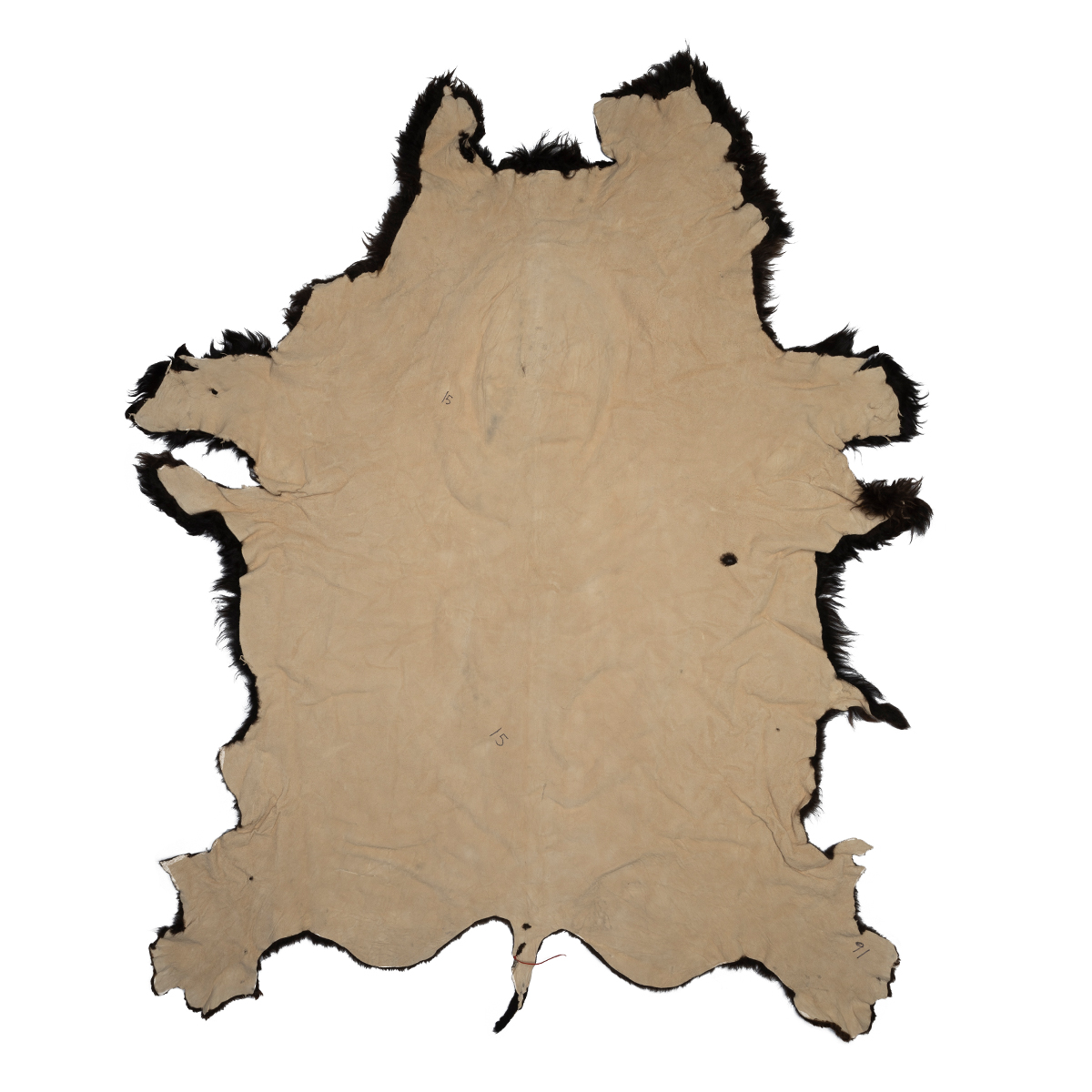 Buffalo Hide