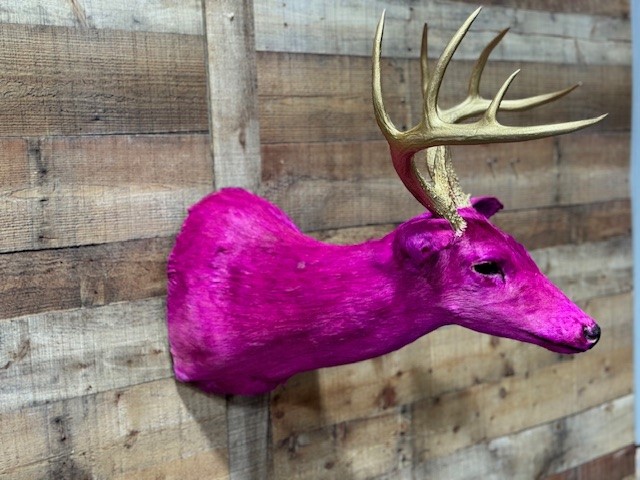 Dyed Whitetail