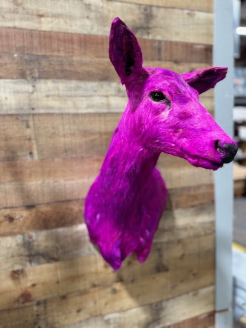 Dyed Whitetail