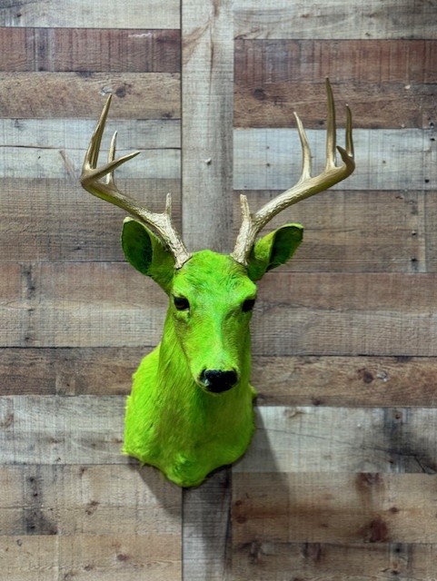 Dyed Whitetail