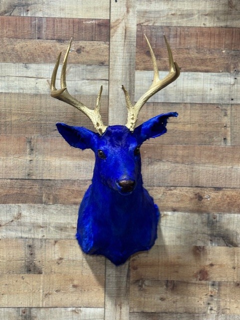 Dyed Whitetail