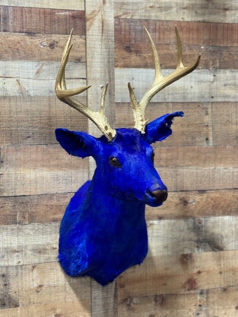 Dyed Whitetail