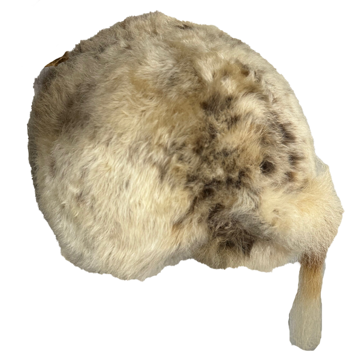 Buffalo Butt (Bleached)