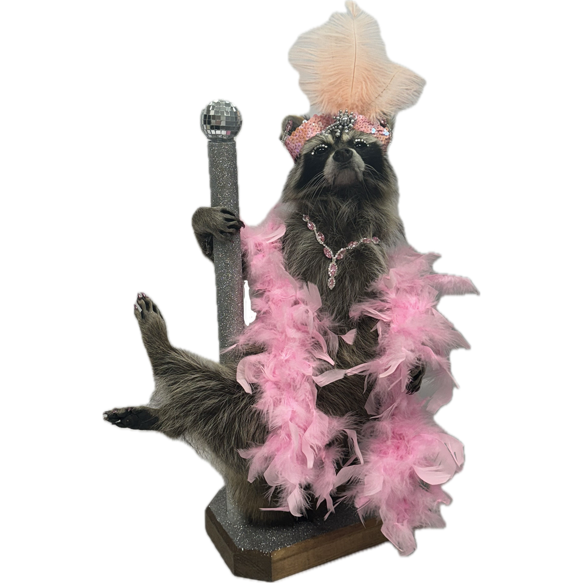 Dressed Up Raccoons