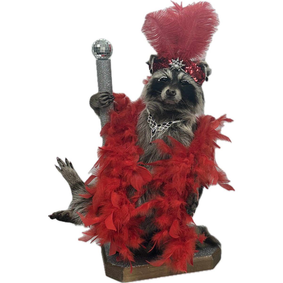 Dressed Up Raccoons