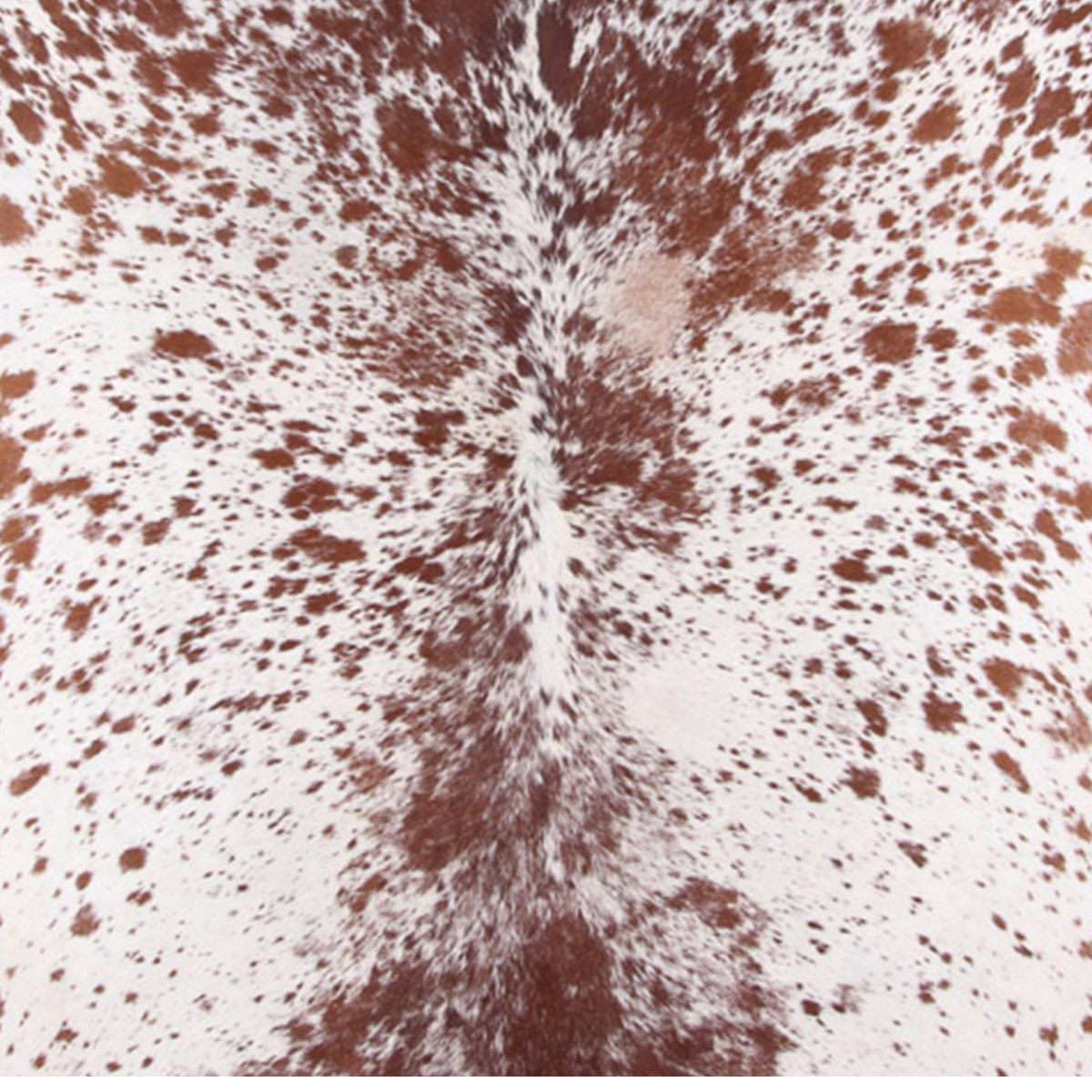 2 Foot Cowhide Bench