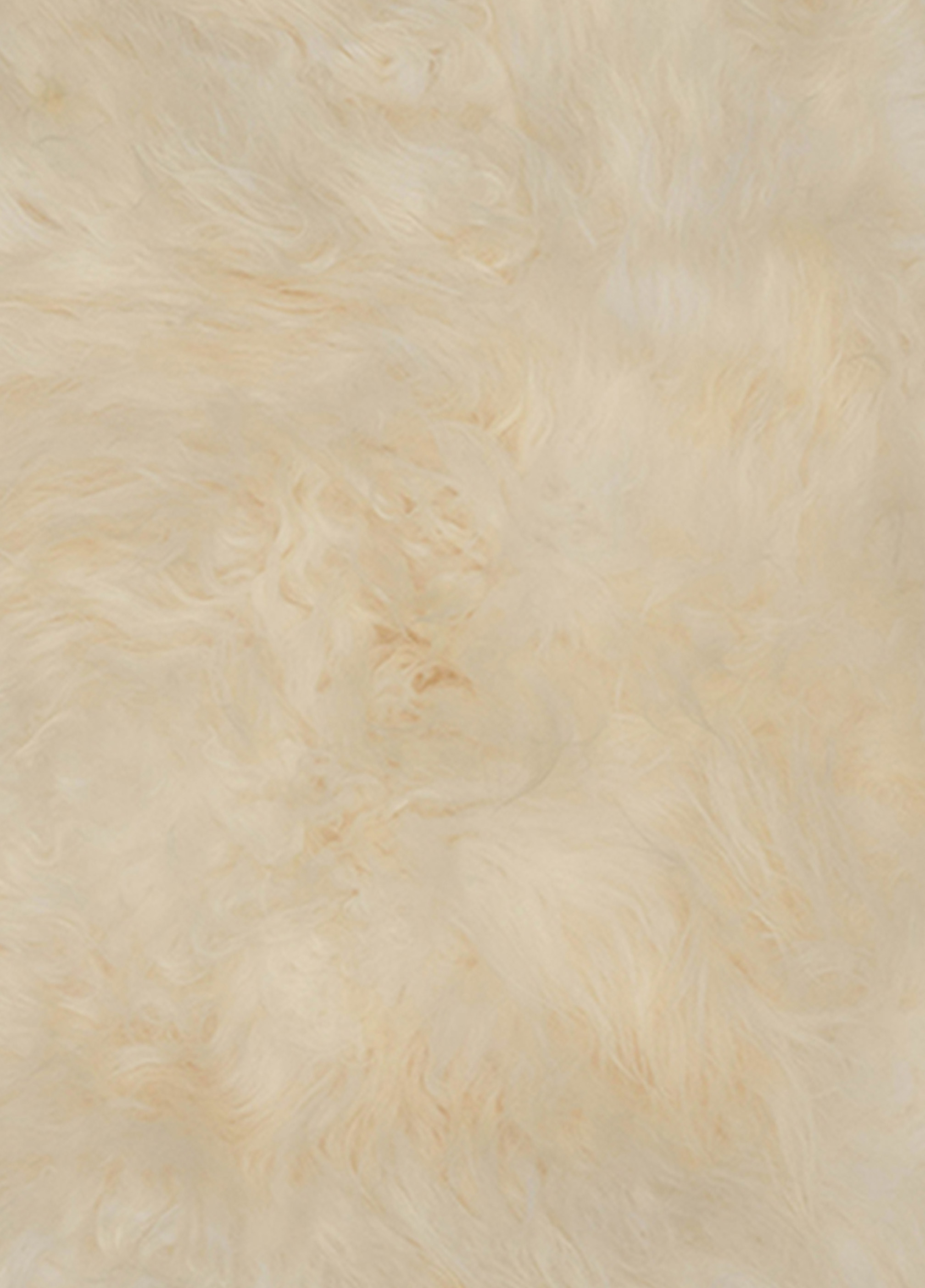 Icelandic Sheep Ivory