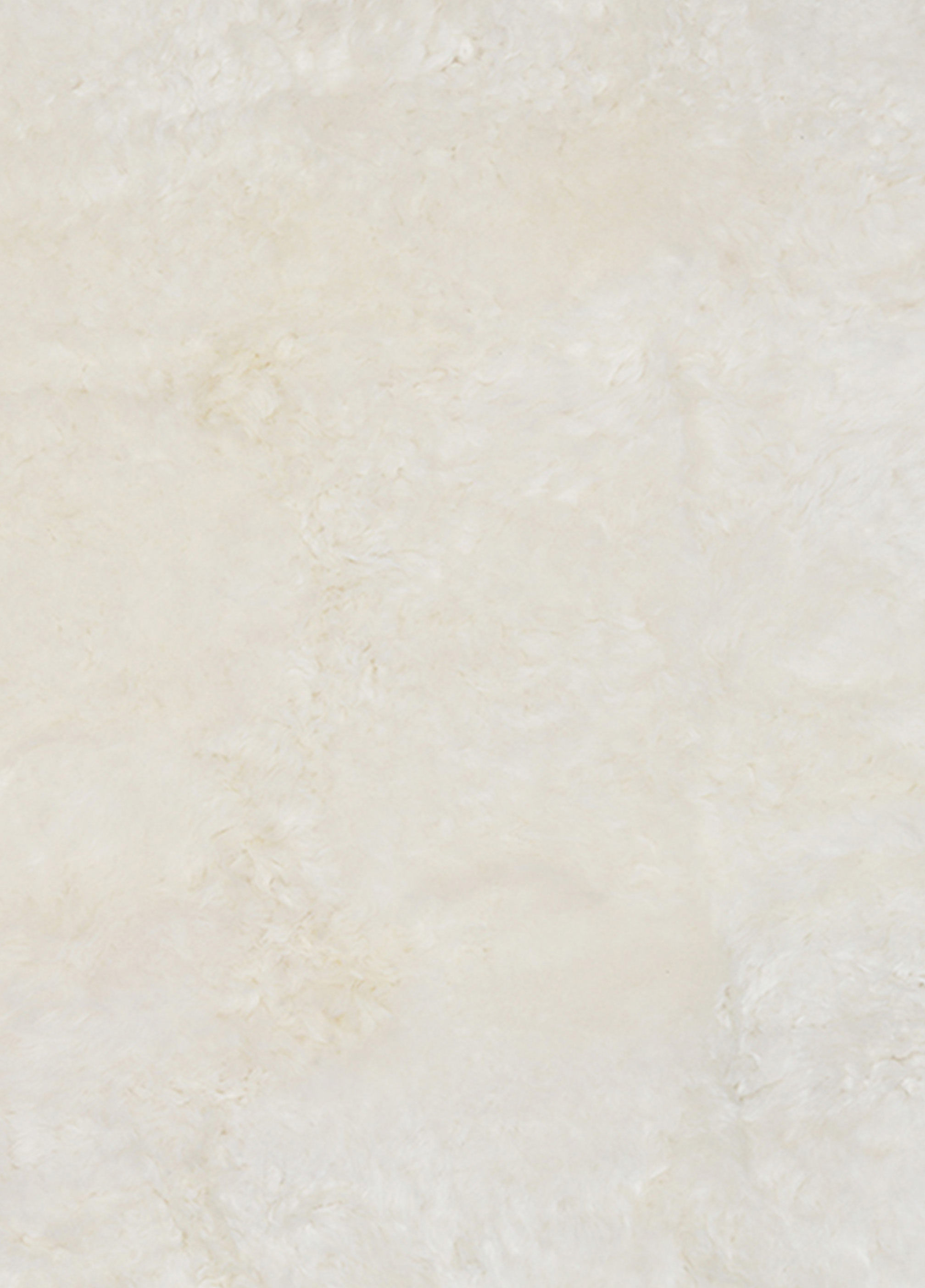 Icelandic Sheep Ivory