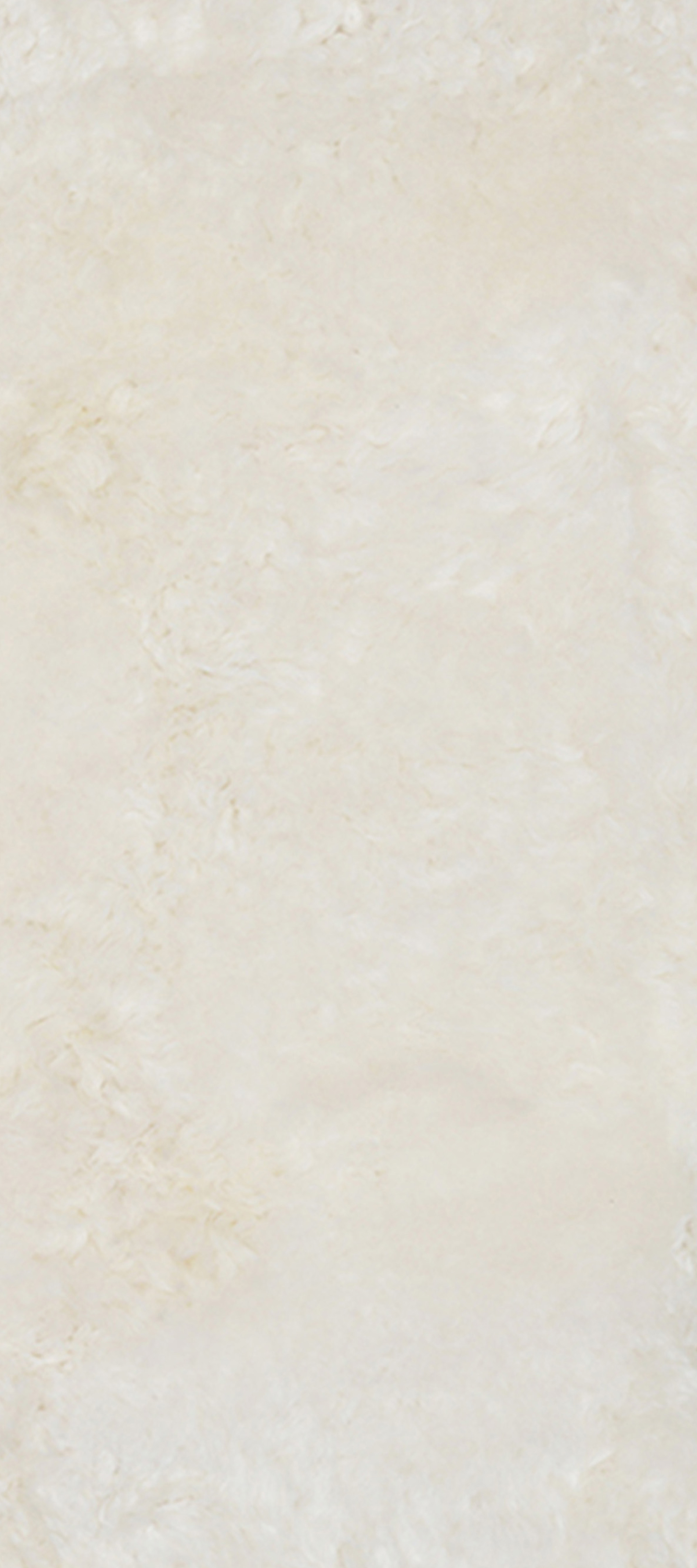 Icelandic Sheep Ivory