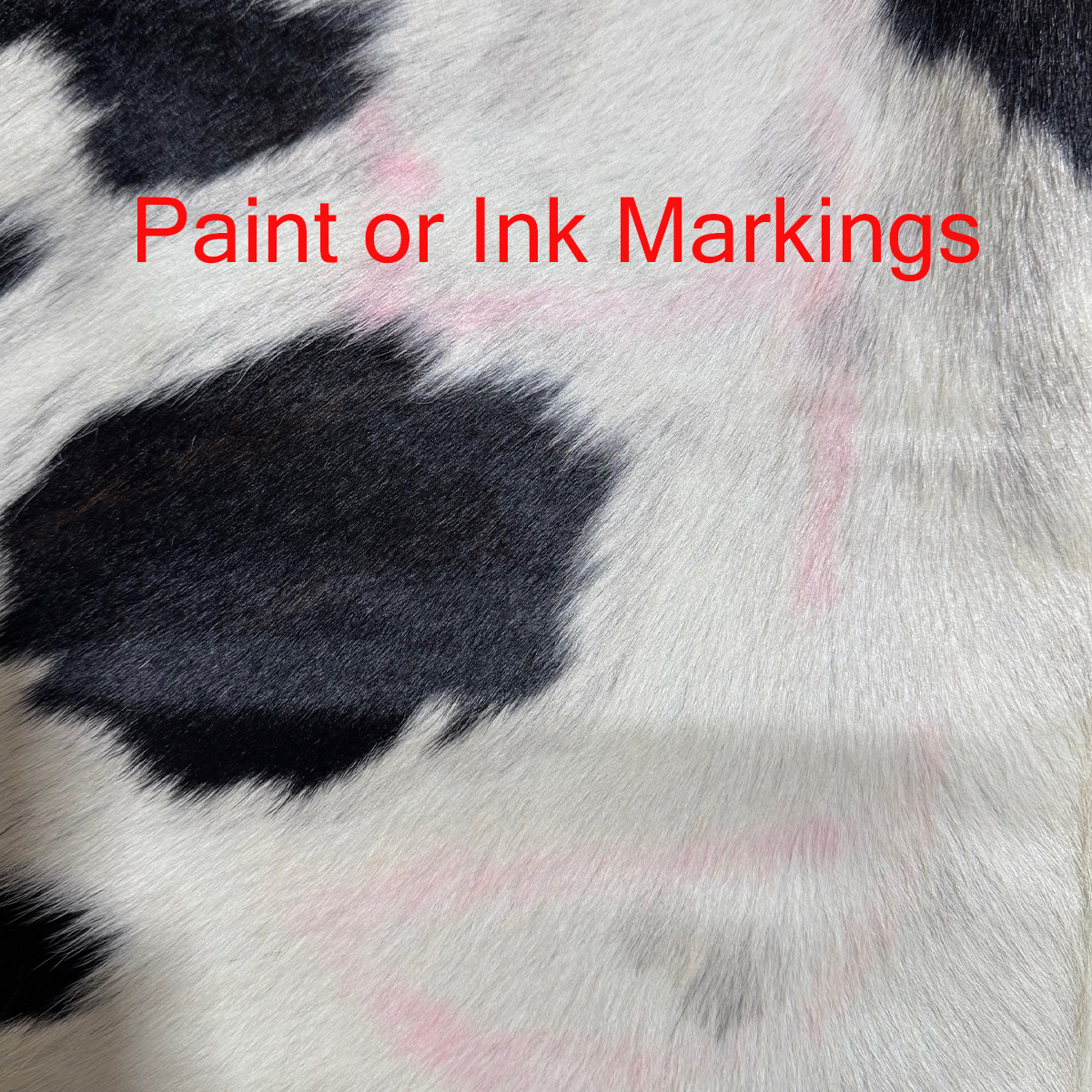 XL B Grade Cowhides