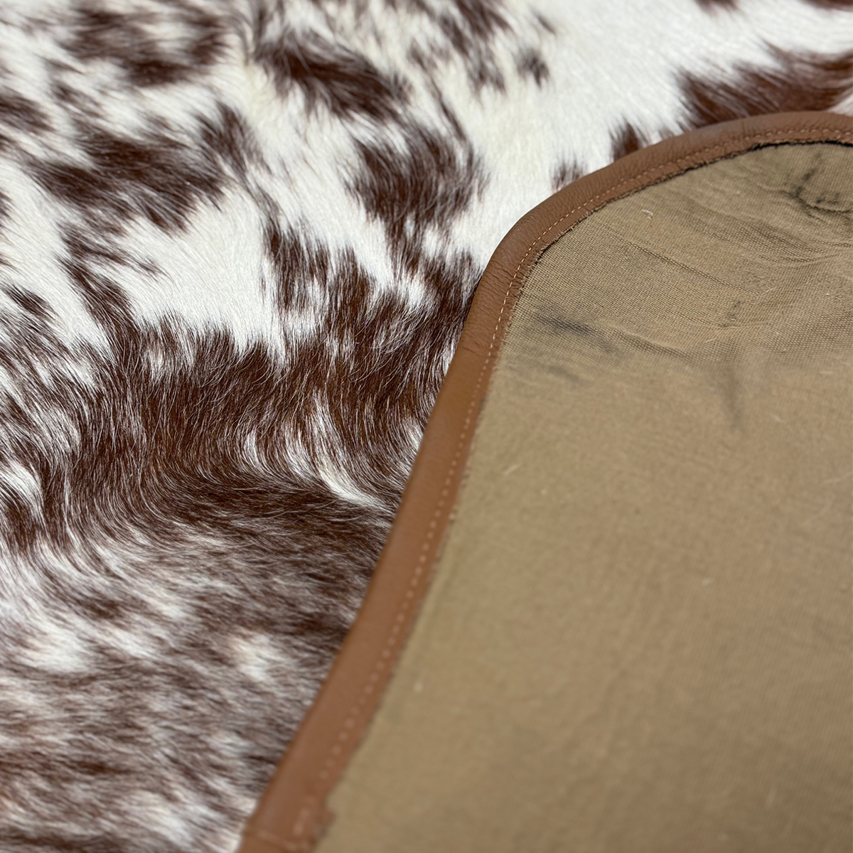Brown & White Bound