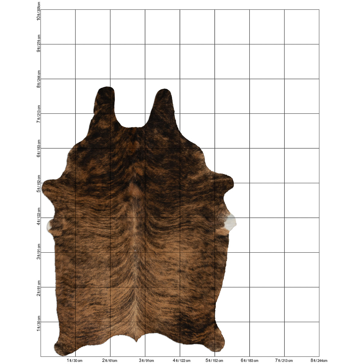 MD Brindle