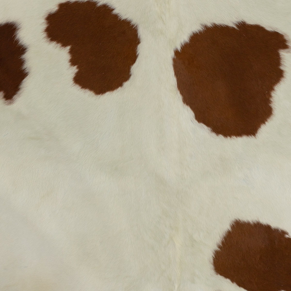MD Brown & White
