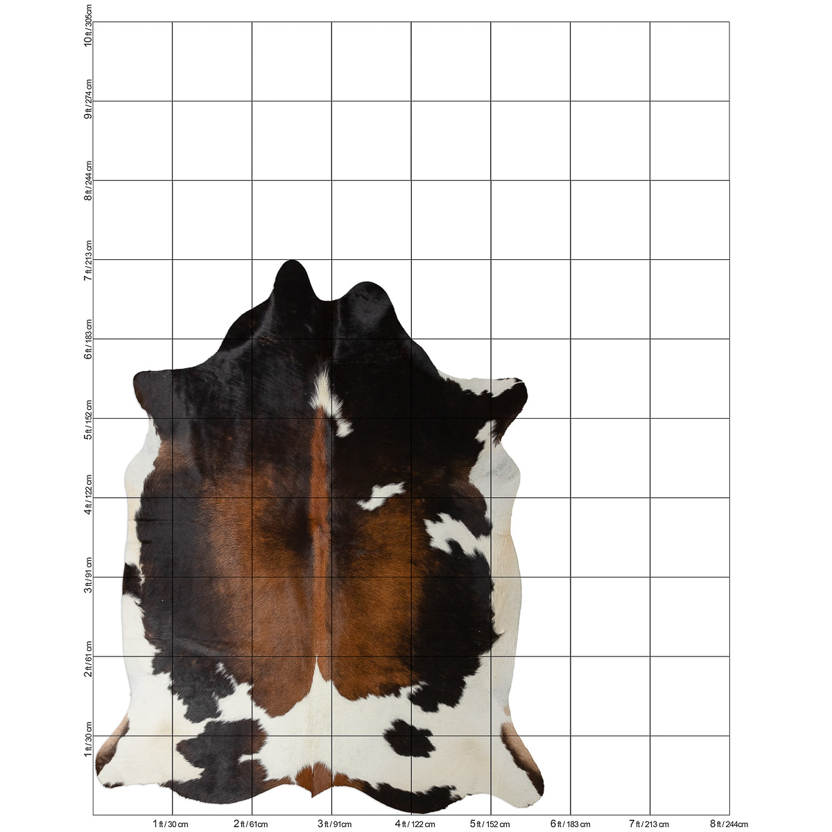 MD Tricolor Cloudy