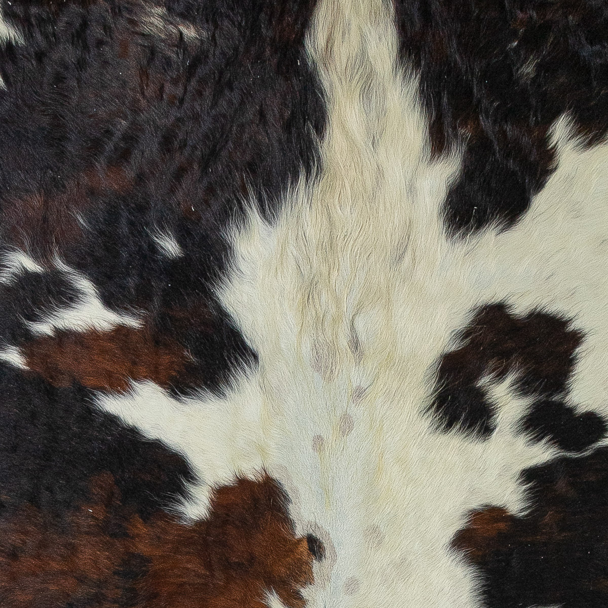 XL Tricolor