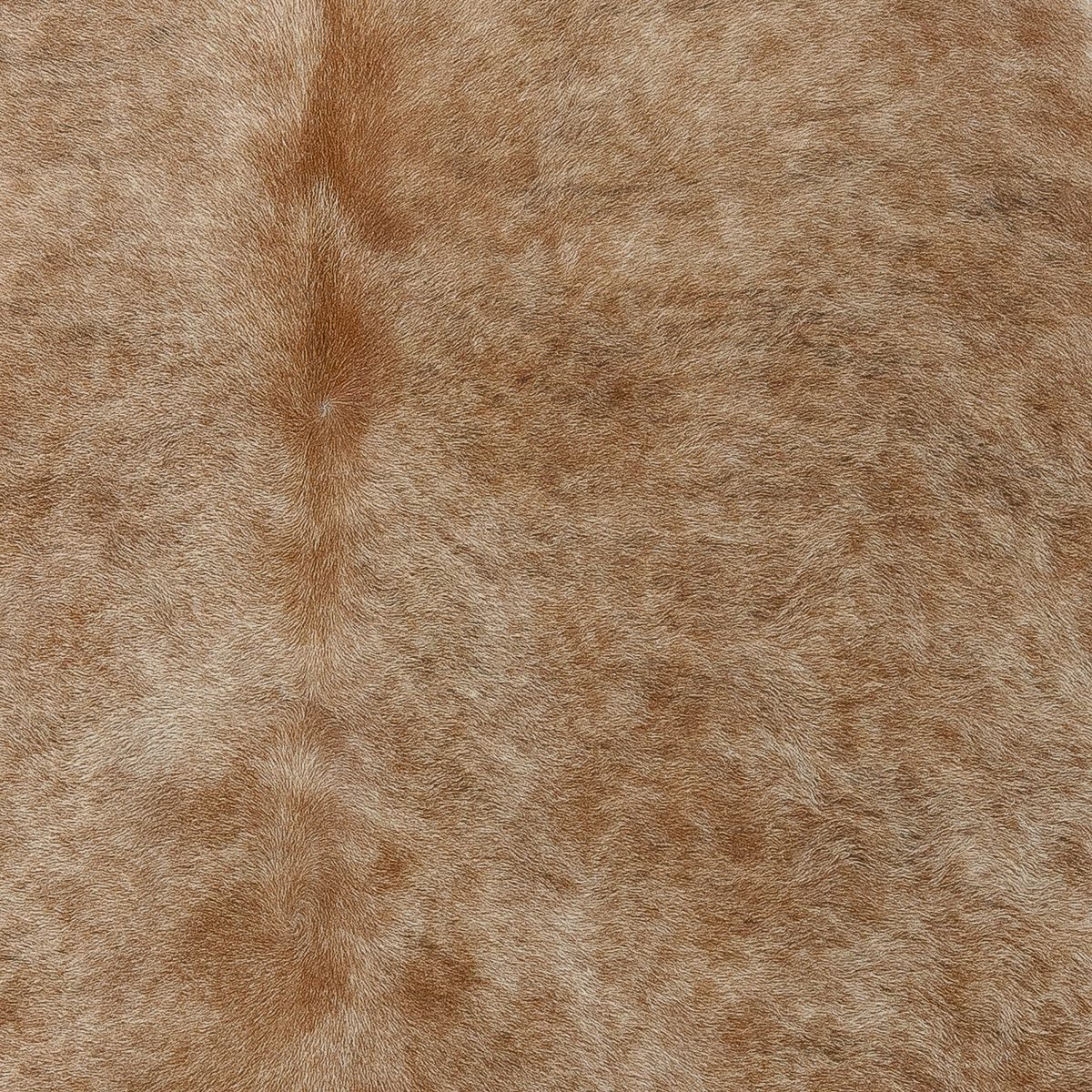 Lg Brown