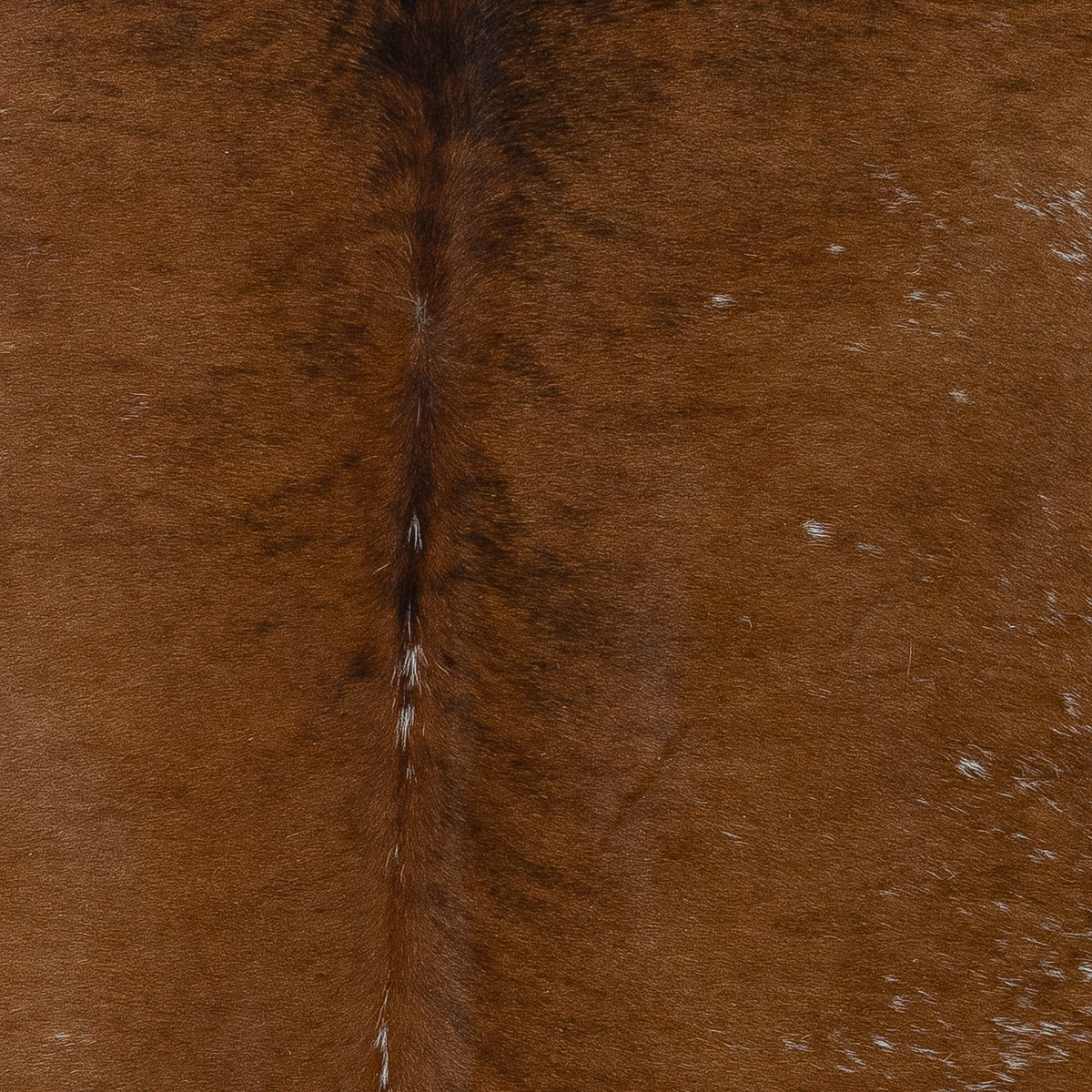 Lg Brown