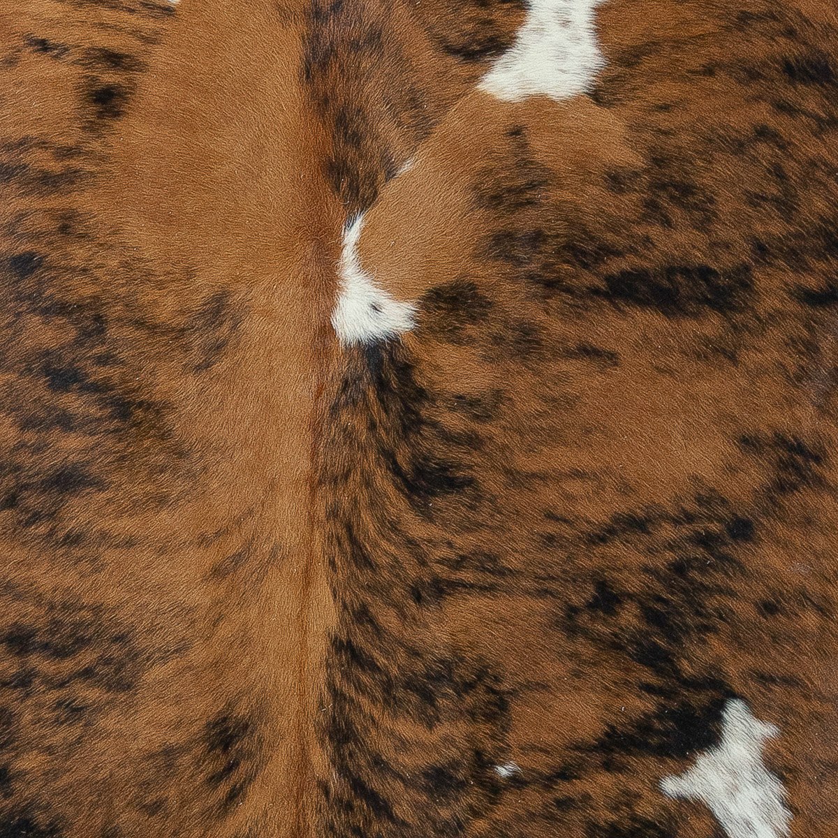 Lg Brindle