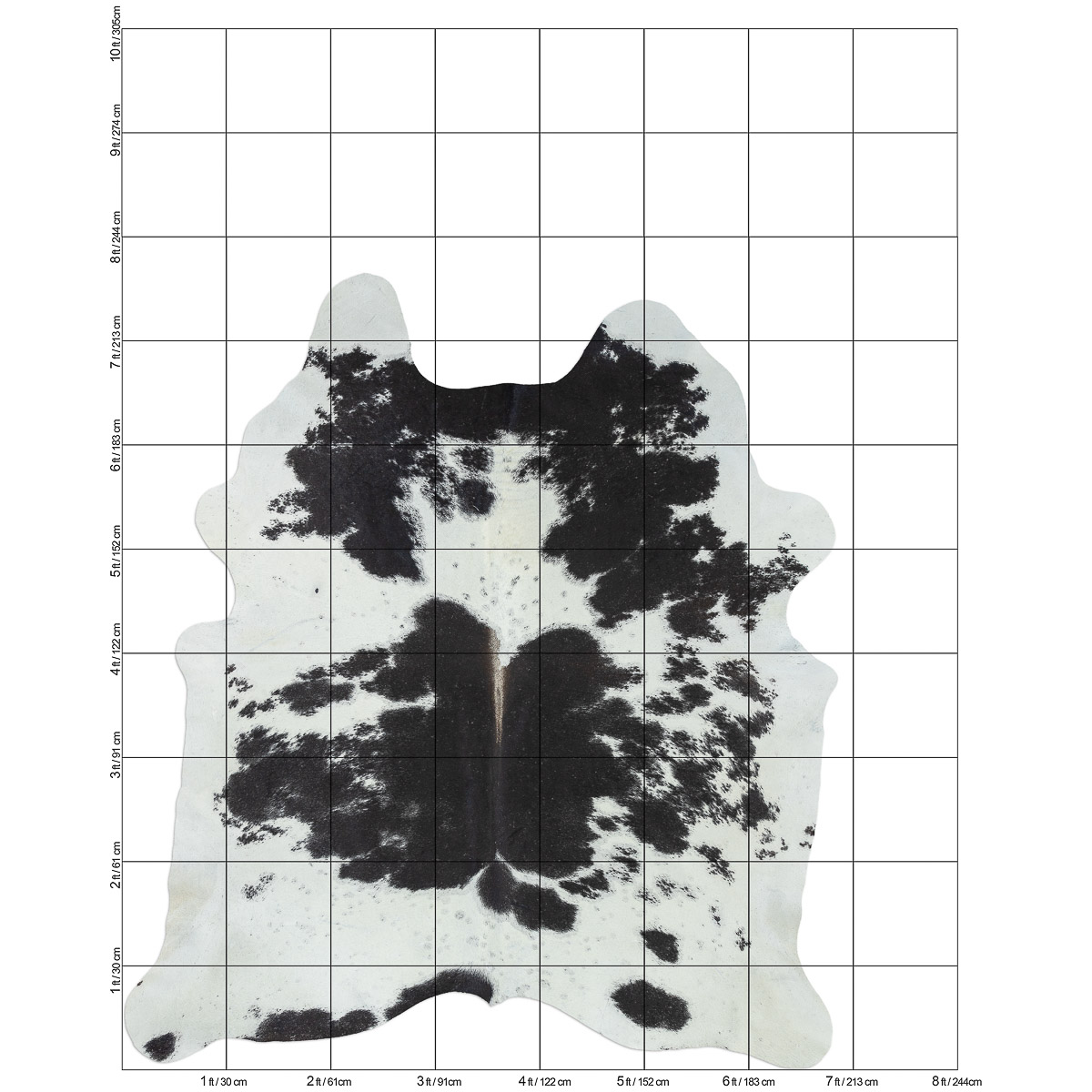 Lg Black & White Cloudy