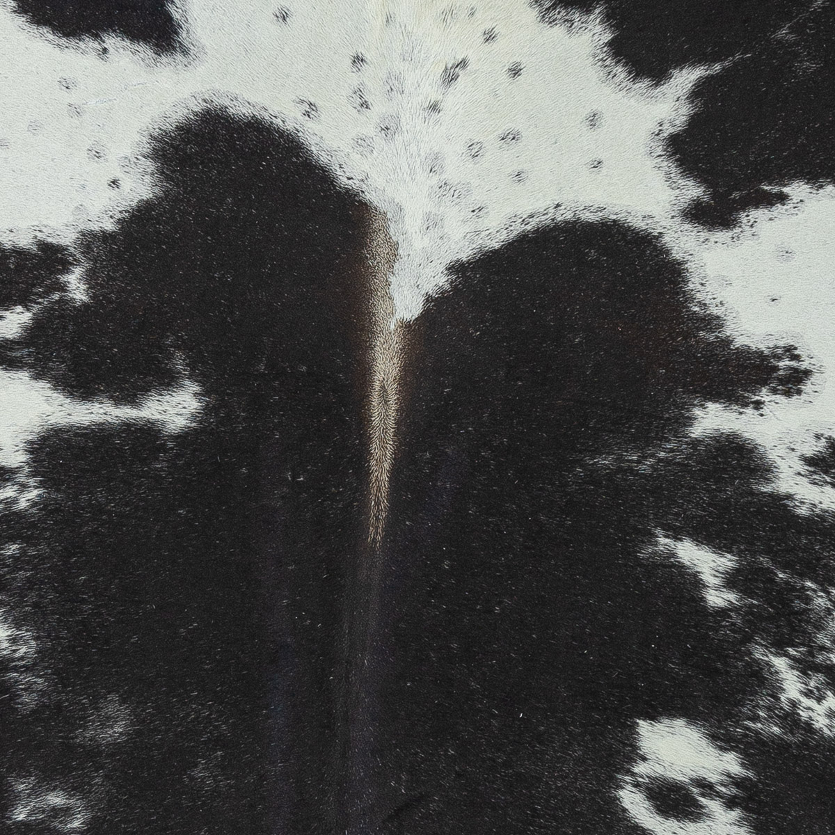 Lg Black & White Cloudy