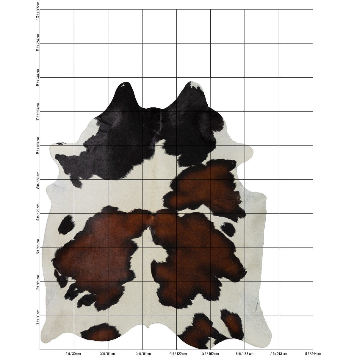 XL Tricolor Cloudy