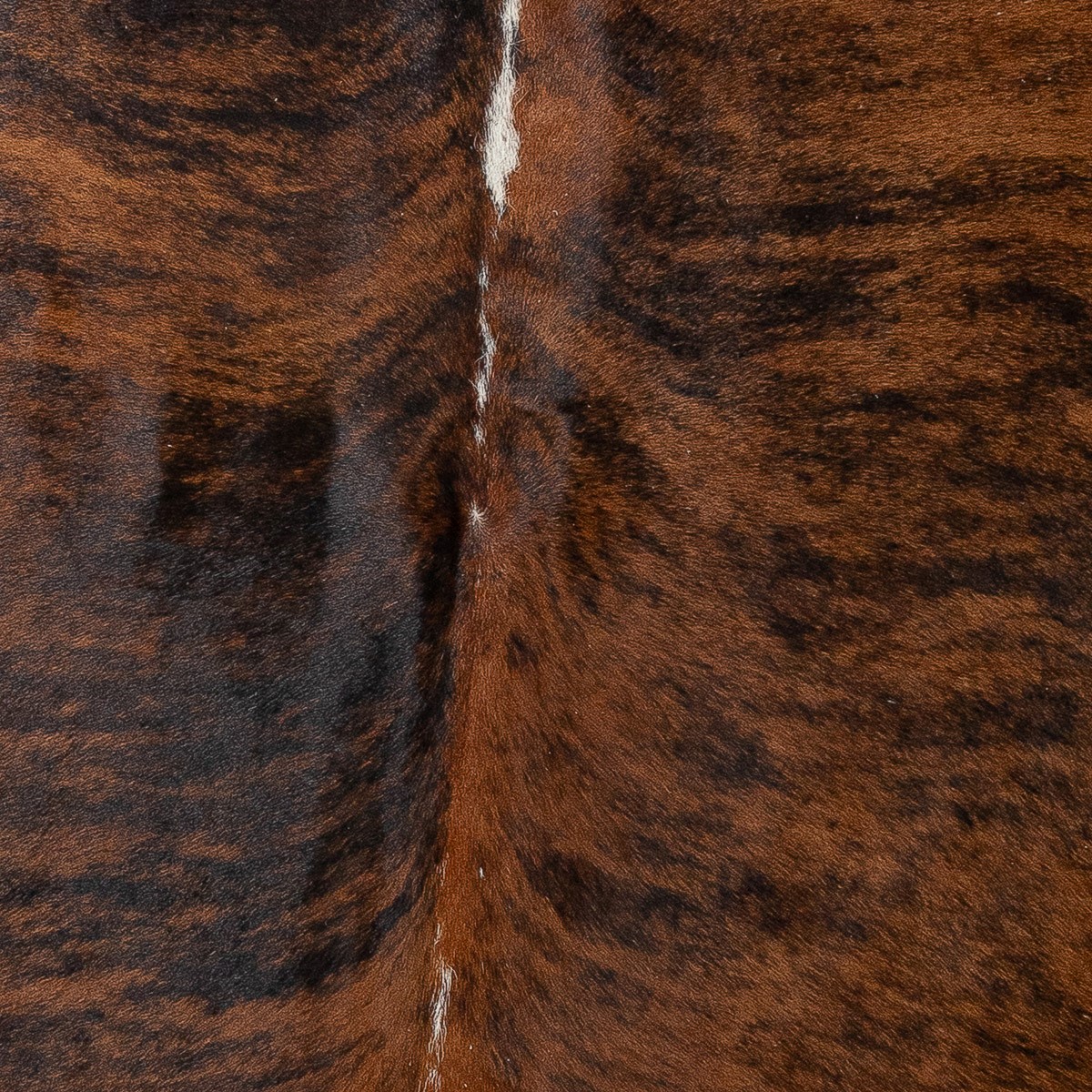 Lg Brindle