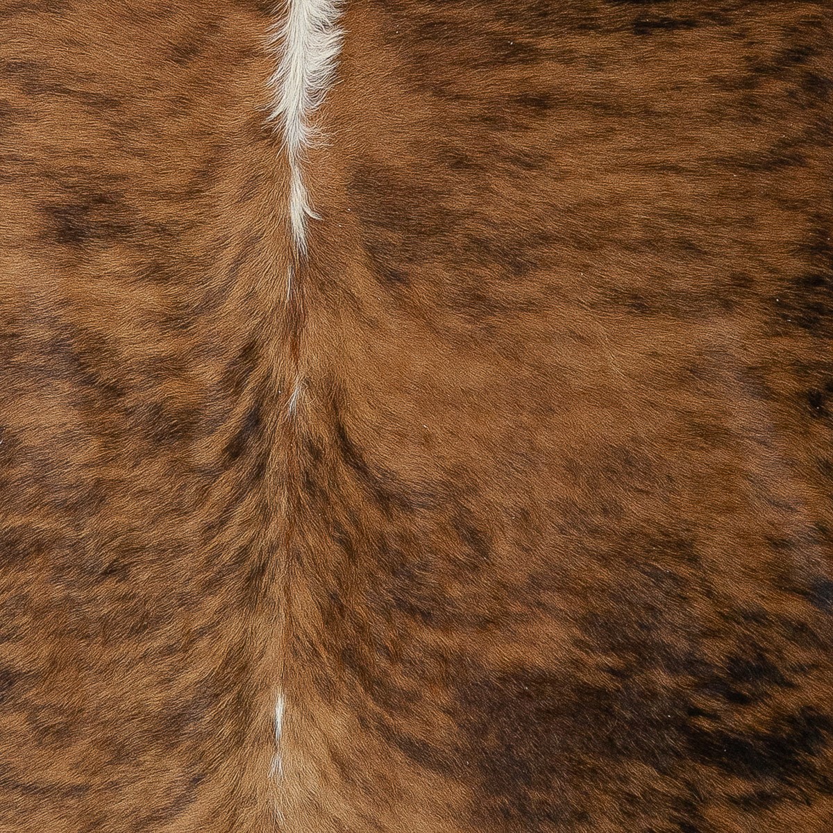 Lg Brindle