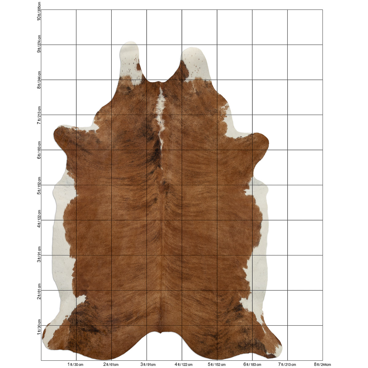XL Brindle