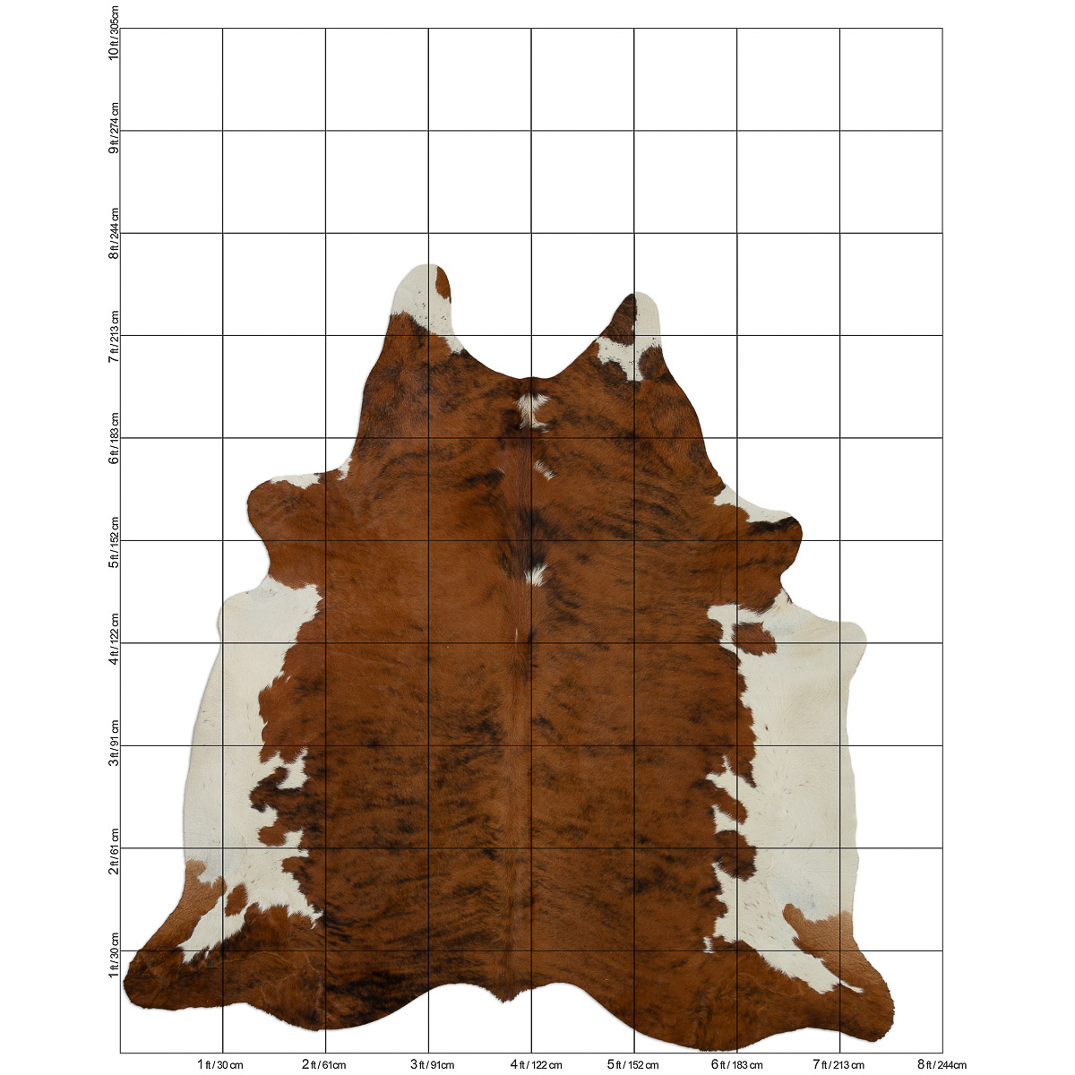 Lg Brindle