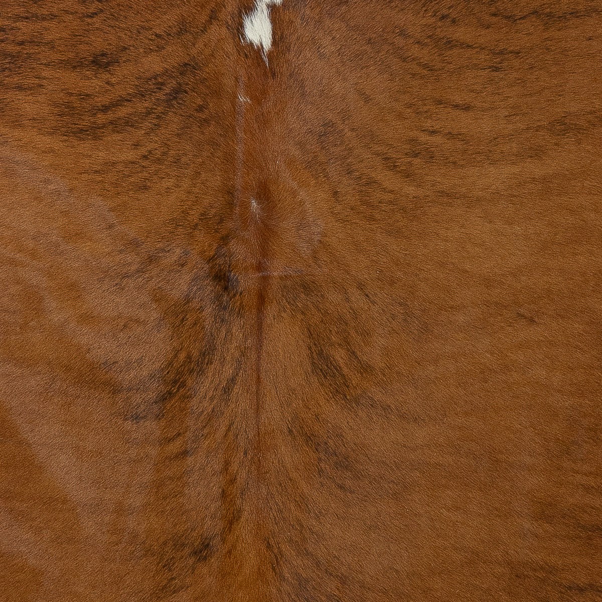 Lg Brindle