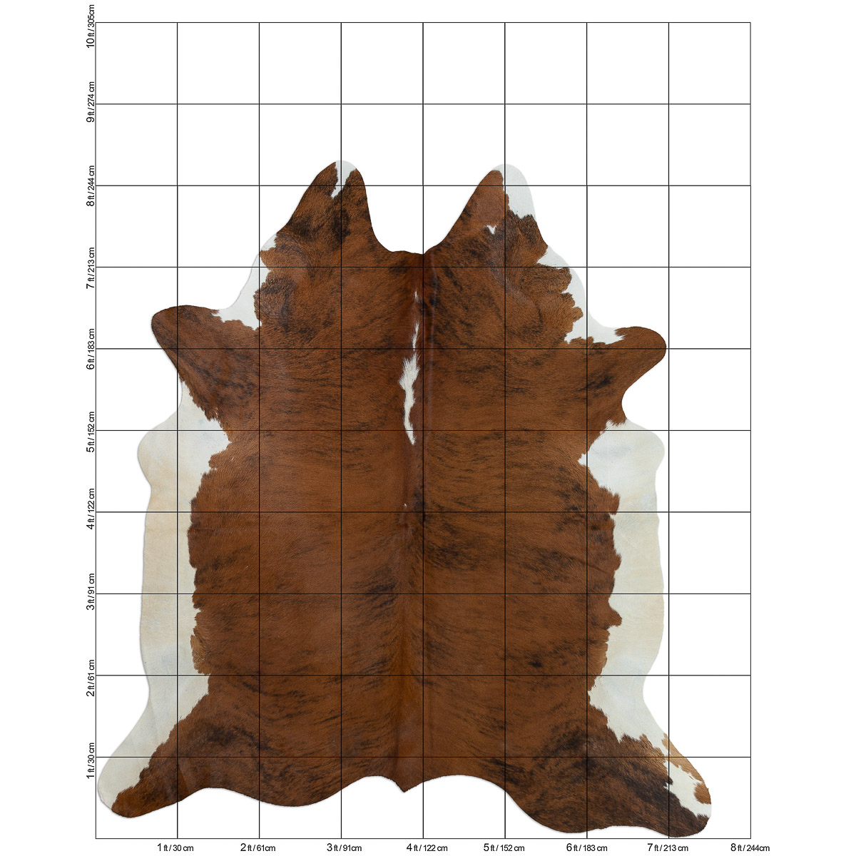 XL Brindle