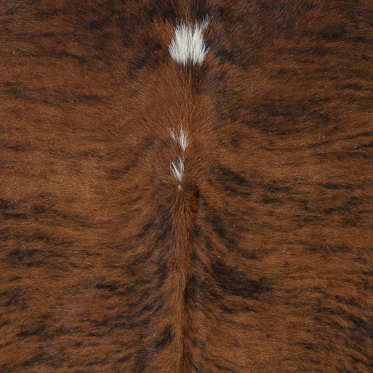 Lg Brindle